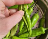 ભરેલા મરચા( Stuffed Marcha Recipe in Gujarati રેસીપી સ્ટેપ1ફોટો