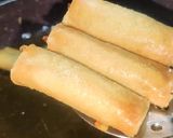 A picture of step 6 of Desi Spring Rolls.