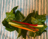 Foto del paso 5 de la receta: Nems Vietnamitas de Setas