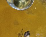 A picture of step 2 of Kaddu With Chaana Daal.