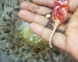 பருப்பு ரசம் ரெசிபி ஸ்டேப் 3 புகைப்படம்