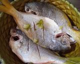 Foto langkah ke 1 dari resep Ikan Bakar Ekor Kuning.