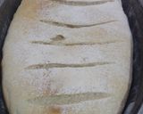 Foto del paso 5 de la receta: Pan Rústico estilo campo