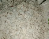 Kunun kwakwamatakin girki1 hoto