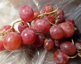 Foto del paso 1 de la receta: Licor de uvas !!!!!