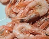Foto del paso 10 de la receta: 194. Gambas Cocidas