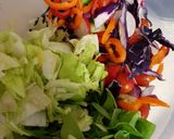 A picture of step 4 of My Peri peri maranated Chicken breast with Salad. 😀.