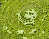 முடக்கத்தான் கீரை தோசை / Drumstick leaf dosai reciep in tamil ரெசிபி ஸ்டேப் 4 புகைப்படம்
