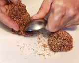 A picture of step 1 of Aiyu From Scratch.