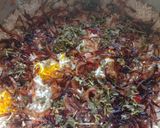चिकन दम बिर्याणी (chicken dum biryani recipe in marathi) रेसिपी स्टेप 7 फोटो 