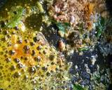 Puff Rice Poha recipe step 2 photo