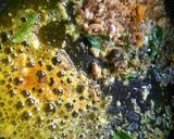 A picture of step 2 of Puff Rice Poha.