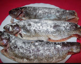 Foto del paso 3 de la receta: Truchas a la Navarra
