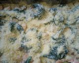 Foto del paso 6 de la receta: Lasaña de salmón y espinacas