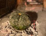Foto del paso 4 de la receta: Calabaza rellena con carne, a las brasas