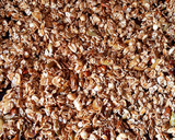 Foto del paso 5 de la receta: Granola