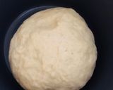 Foto del paso 4 de la receta: Dumplings