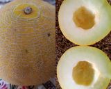 A picture of step 1 of Muskmelon Milkshake.