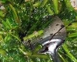 Foto langkah ke 4 dari resep Tumis kangkung kecap.