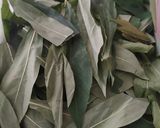 Foto langkah ke 1 dari resep Sayur Udang & Daun Singkong.