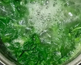 होटल स्टाइल पालक पनीर (Hotel style palak paneer) रेसिपी चरण 1 फोटो