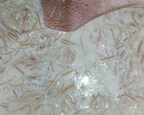 A picture of step 3 of Doodh Sawaiyan.