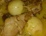 Foto langkah ke 7 dari resep Opor Ayam.