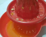 Foto del paso 1 de la receta: Naran - gin (cóctel)