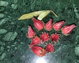A picture of step 1 of Sorrel Smoothi.