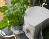 Carrot top pesto recipe step 3 photo