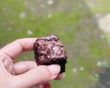 Foto langkah ke 7 dari resep Shiny crust Brownie.