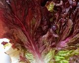 Foto del paso 1 de la receta: Ensalada de Merluza en lata Lechuga, Tomate, Cebolla y Ajo