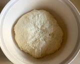 A picture of step 4 of No-Knead Simple White Bread.