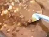 Pakcoy Siram Daging Sapi
