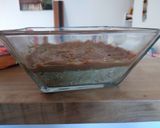 Foto del paso 2 de la receta: Príncipe Humberto