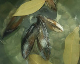 Foto del paso 2 de la receta: Fideuá tierra mar