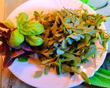 Porcsinos, tojásos, virslis cukkini recept fázis 1 fotója