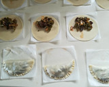 Foto del paso 3 de la receta: Empanadillas de verdura