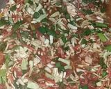 A picture of step 6 of Peri Peri noodles.