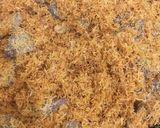 Foto langkah ke 9 dari resep Dendeng Daging Sapi + Srundeng Kelapa.
