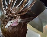 Foto langkah ke 3 dari resep Cake Cokelat Kukus.