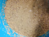 Akar kelapa | Kue kaktus | kerupuk kaktus