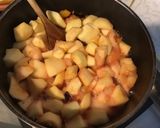 Une image de l'étape 4 de Compote de pommes,quetsches et prune d ente (fruits du jardin).