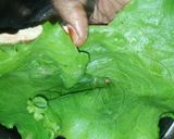 A picture of step 5 of Pita pocket.