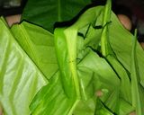 Foto langkah ke 1 dari resep Opor tetenas.