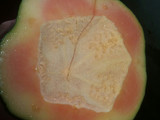 DULCE DE LECHOSA (PAPAYA)