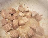 Stewed Beef recipe step 2 photo