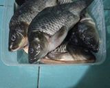 Foto langkah ke 1 dari resep Pesmol Ikan Mas pakai Bumbu Dasar Kuning.