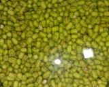 ફણગાવેલા મગનું સલાડ (Sprouts Moong salad recipe in Gujarat) રેસીપી સ્ટેપ1ફોટો