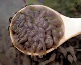 Foto langkah ke 5 dari resep Dawet Ireng Durian.